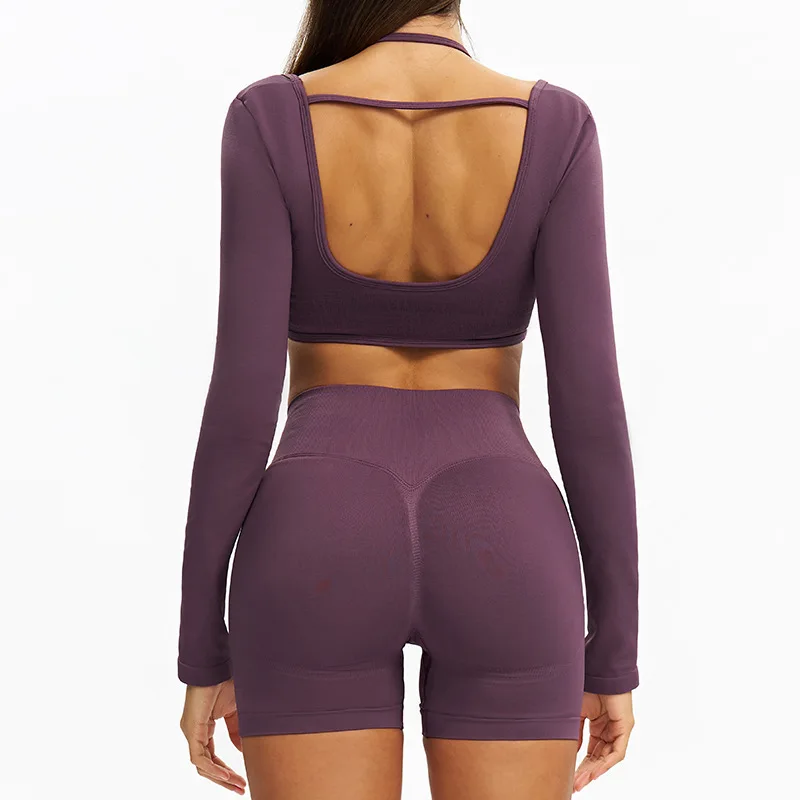 Seamless Yoga Set 2PCS Gym Workout Clothes Women Tracksuit Push Up Bra High Waist Leggings Fitness Top Sportswear Sports Suits