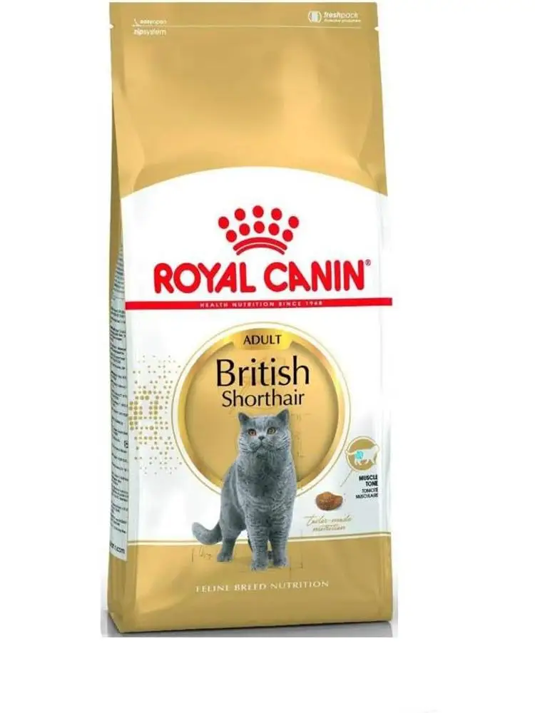 Royal Canin Feline British Shorthair, 1er Pack (1 x 10 kg Beutel) - Katzenfutter