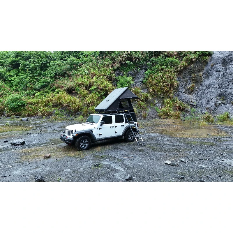 Hot selling Waterproof Four-Season Triple Layer 4 Person Roof Top Tent Quick Automatic Opening Ladder Polyester Hard Shell