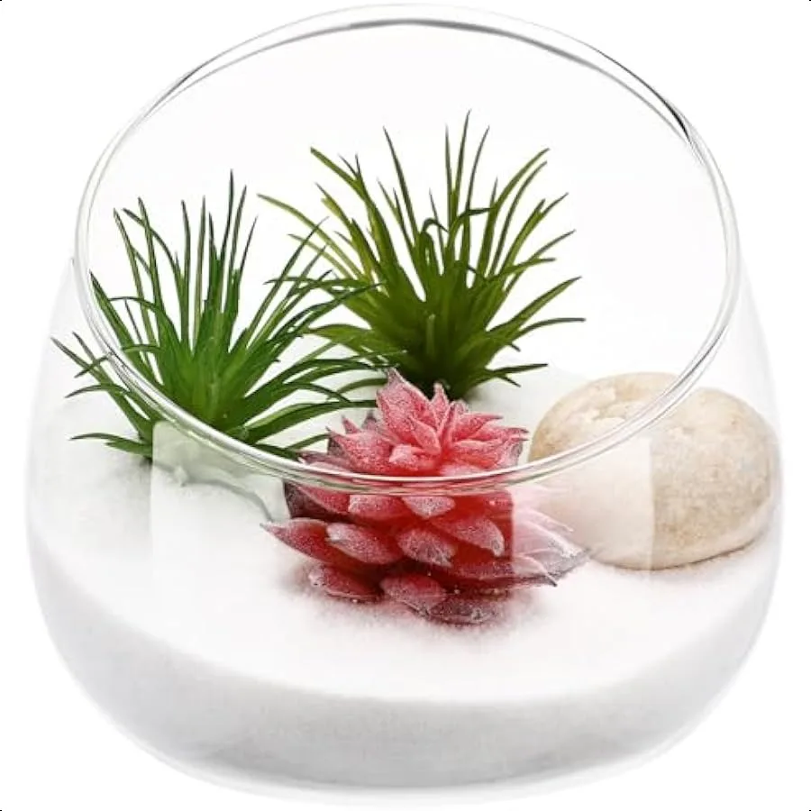 

Slant Cut Bowl Glass Vase Clear Terrarium Bowl Candy Dish Fruit Jar 4.7" W x 4" H Small Round Planter Table Centerpiece Use for