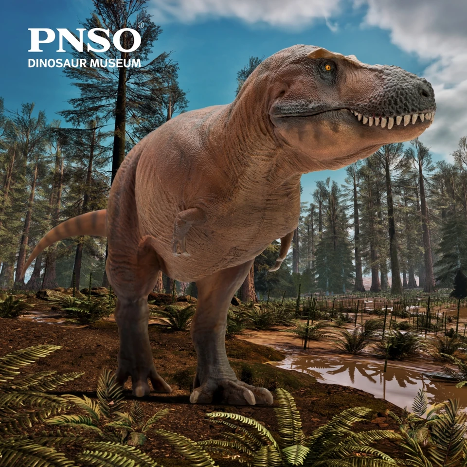 Pnso-恐竜障害シリーズ、キャメロンティラノサウルスrex、18