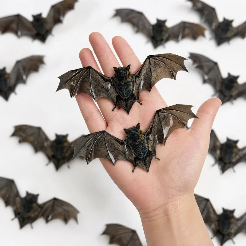 12pcs Retro Realistic Bat Wall Sticker PVC Halloween Horror Simulated Bat Wing Sticker Halloween Decor