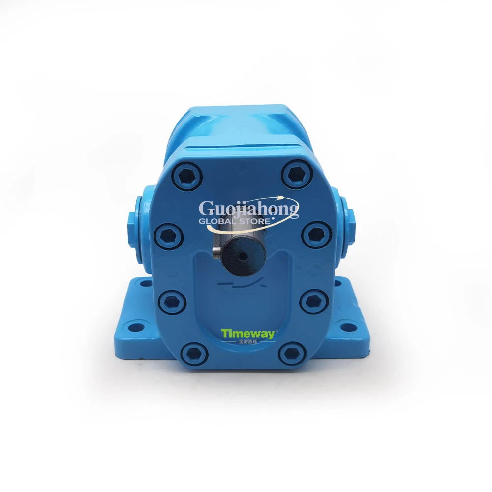 

G11-25 Hydraulic Gear Pump G11-25A Gear Oil Pump Customization Supported