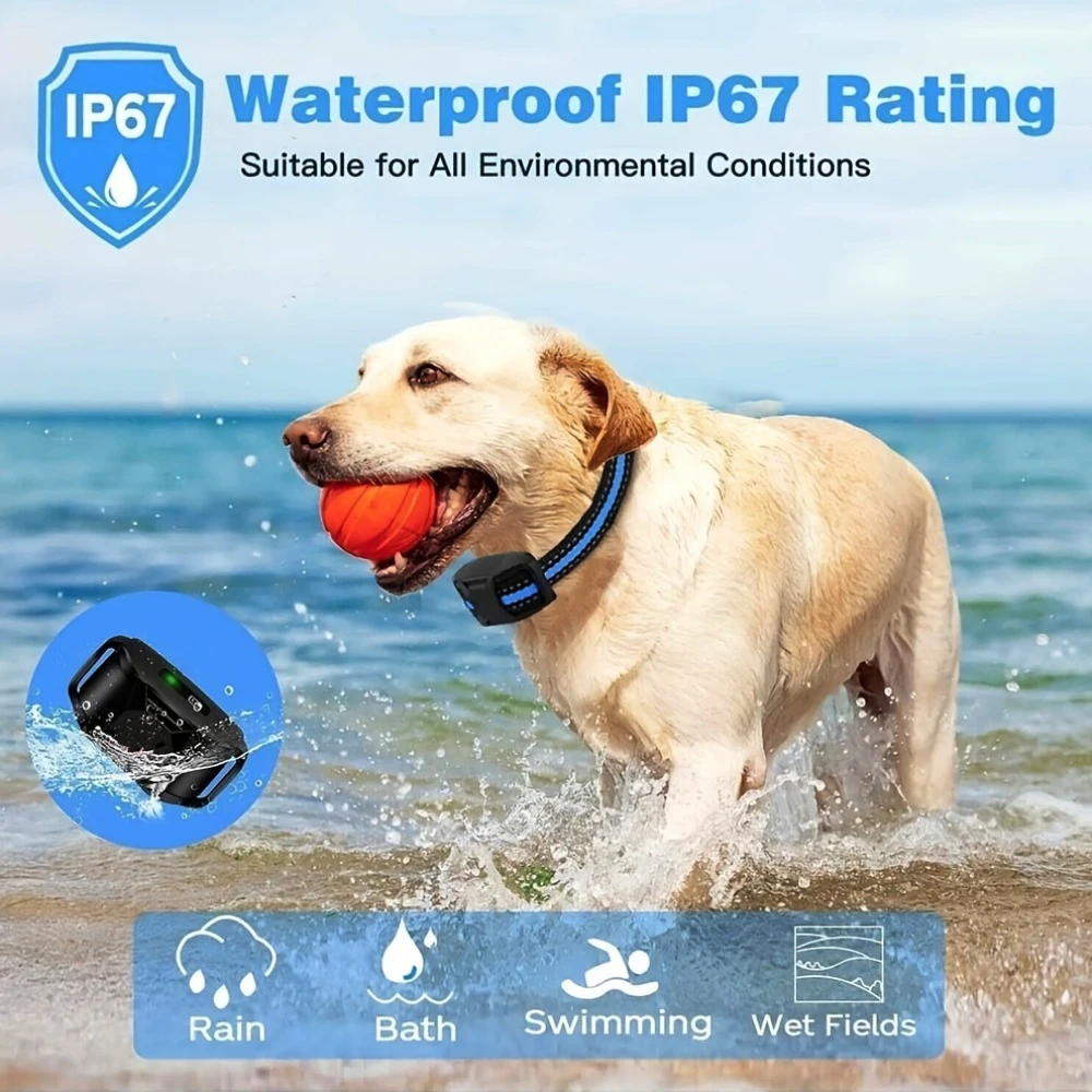 Thumbnail 4 - #67 Cheap Pet Collars Worth Buying