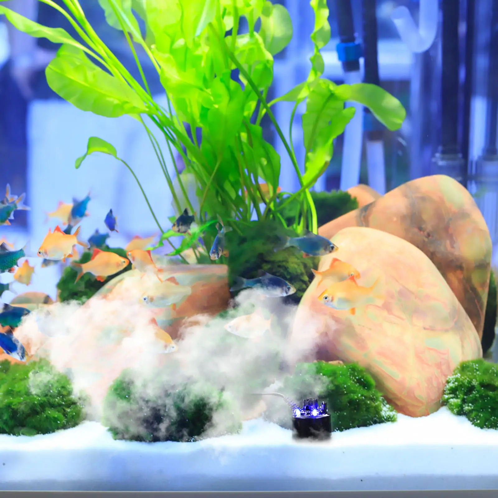 1-ensemble-generateur-de-brouillard-avec-lumieres-led-colorees-pour-scene-romantique-accessoire-pour-aquarium-fontaine-de-roche-pour-Etang-micro-atomiseur