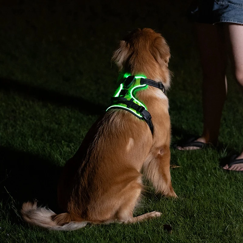 Arnês luminoso para animais de estimação Arnês luminoso para cães Cinta peitoral luminosa ajustável para animais de estimação