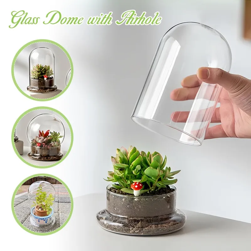 Clear Glass Dome with Air Vent Bell Jar Cloche with Base for Plant Terrarium Display Decorative Tabletop Decor Jar Container