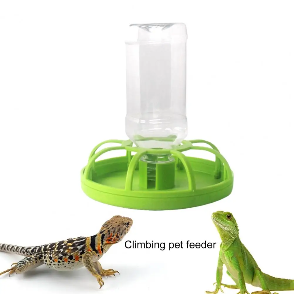 Durable Feeding Bowl Convenient Smooth Edges Anti-deformed Food Bowl Lizard Feeder  Reptile Drinking Fountain Feed Water