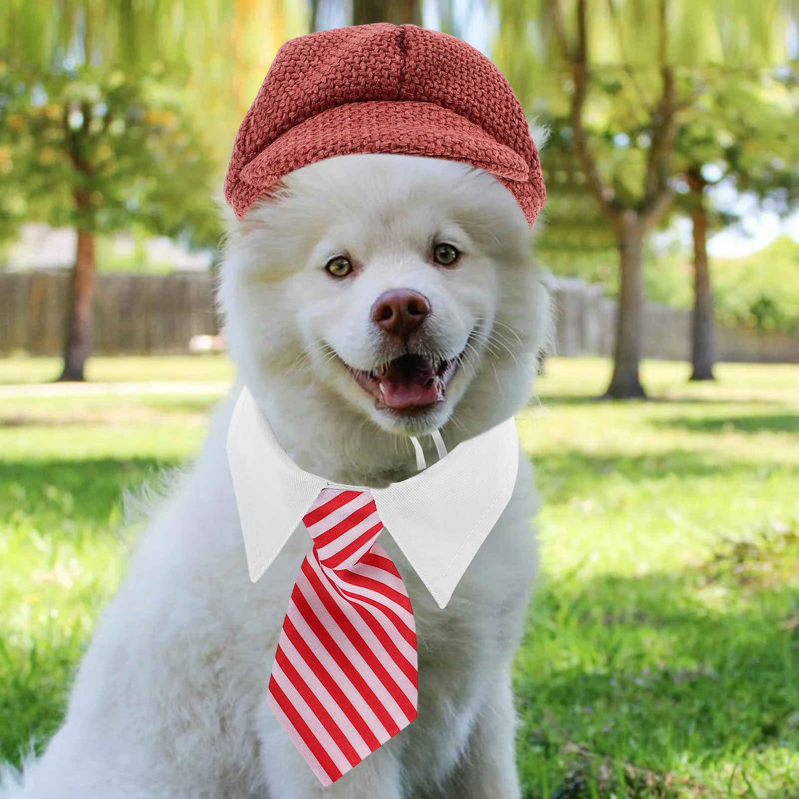 

1 set Pet Beret Hat Necktie Set French Style Dog Cat Costume Warm Fashionable Birthday Party Carnival Halloween Photography Prop