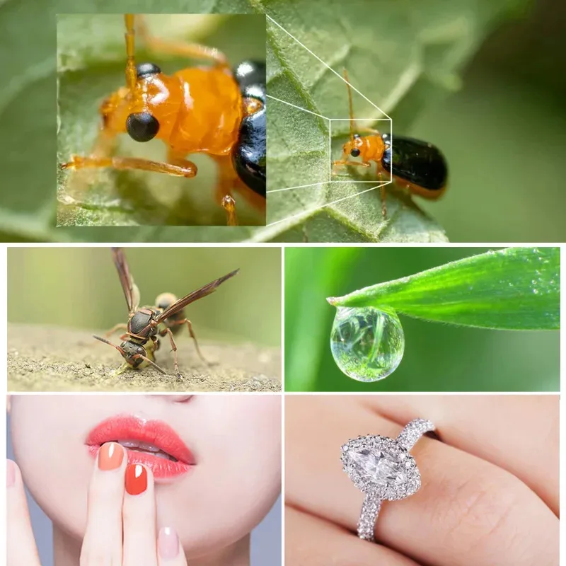 ชุดเลนส์โทรศัพท์ เลนส์มาโคร 10x ถ่ายภาพ 3-12 ซม. CPL+ฟิลเตอร์ดาว สำหรับ iPhone Samsung Huawei Xiaomi Google Moto