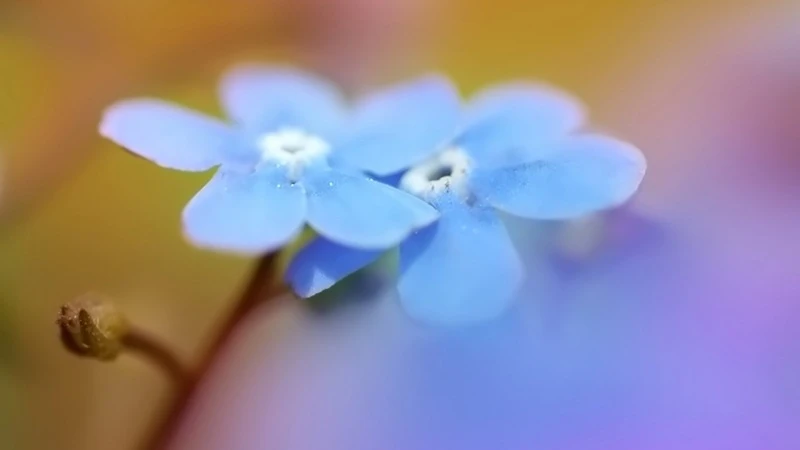 4 Stück WLtoys 144001 124019 124017 A959 Teile für Straßen-Schaumreifen 68MM Rad passend für 12MM Sechskant für 1/16 1/14 1/12 ferngesteuerte Autos