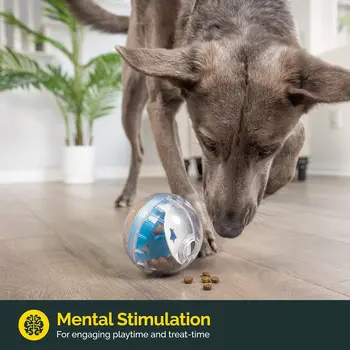 IQ Dog Treat Dispenser Ball 5