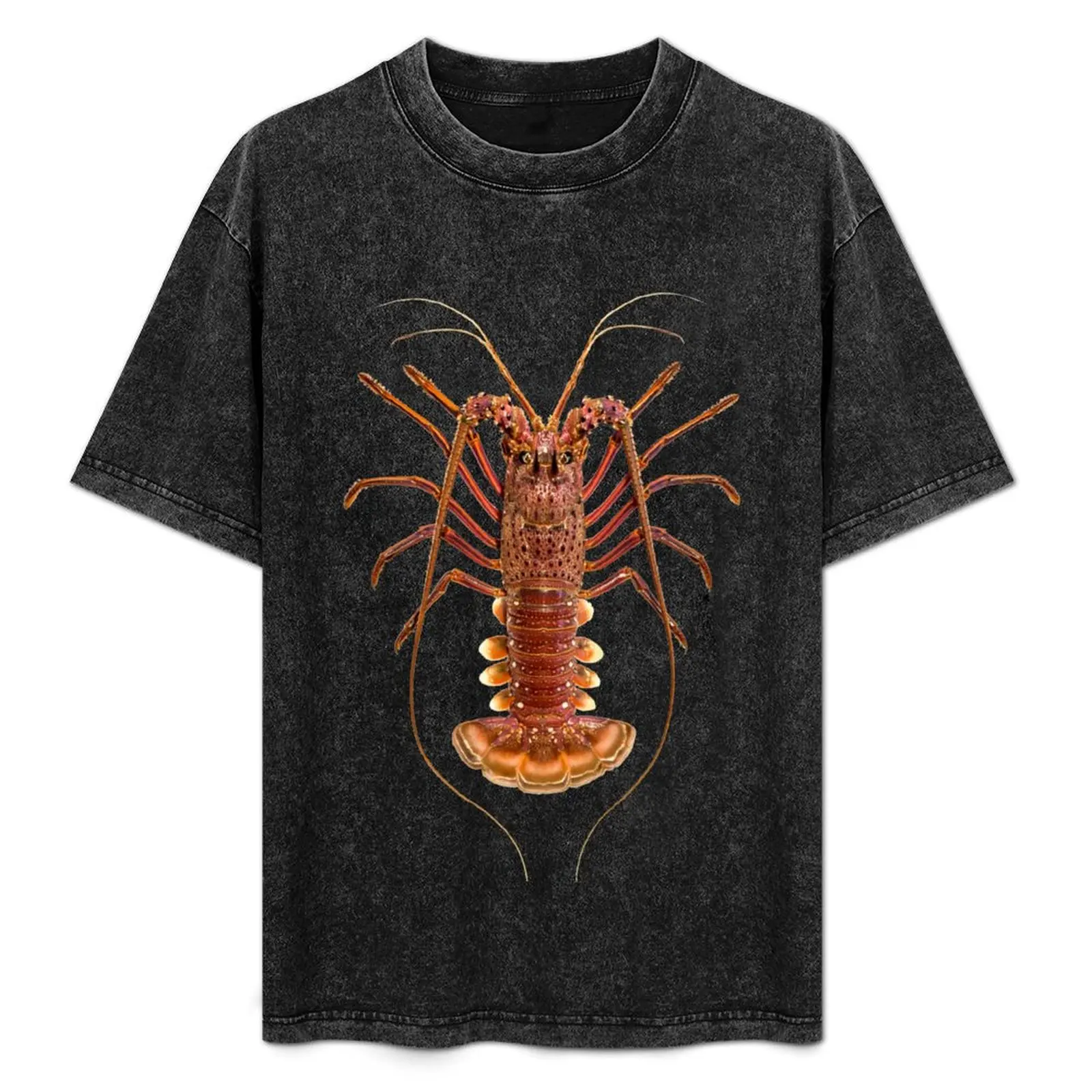

Western Rock Lobster T-Shirt Big and Tall Basic Tee Shirt