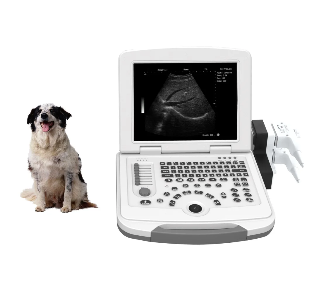 Animal usg portable laptop veterinary pregnancy ultrasound scanner machine for cows animal China with rectal probe