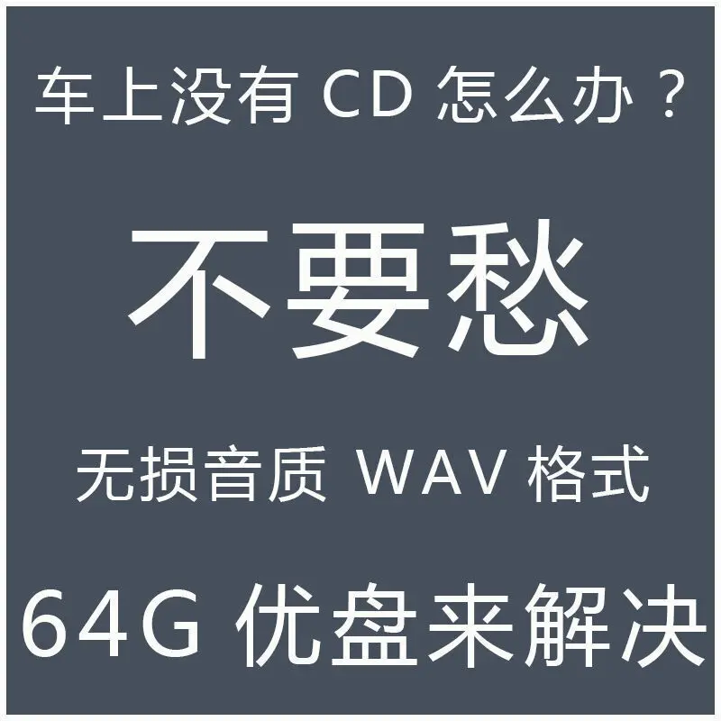 Muzyka samochodowa w formacie USB WAV MUZYKA klasyczna Opcjonalnie dostępna