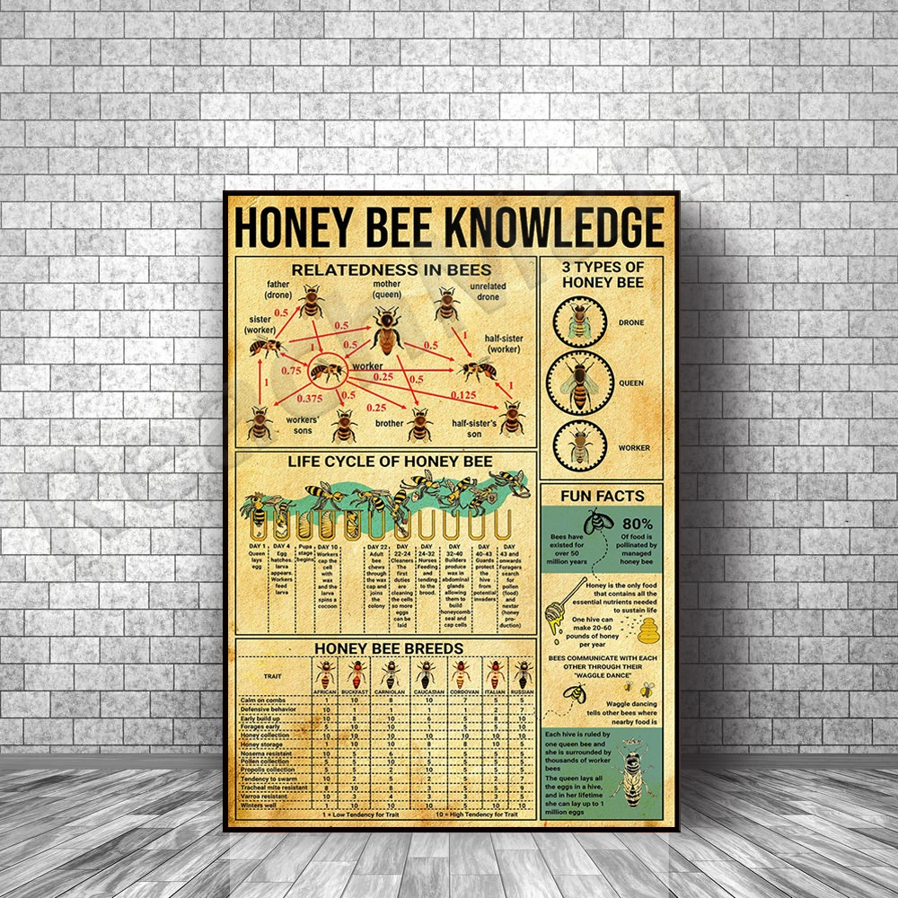 Bee Knowledge Poster Vintage Abstract Wall Art Canvas Painting Print Living Room Decor Wall Picture