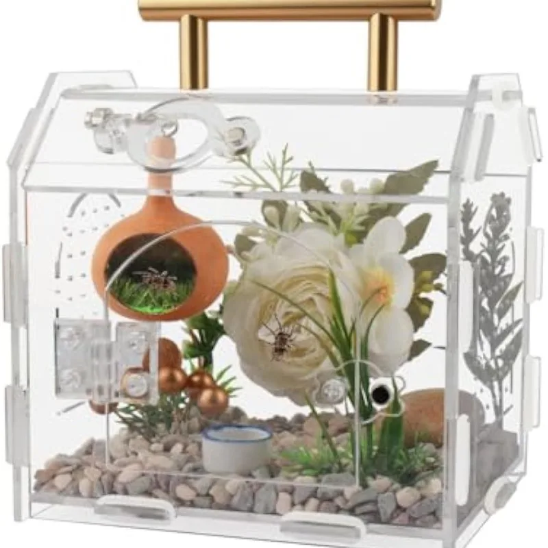 Reptile Breeding Box Acrylic Feeding Boxes Transparent Reptiles Terrarium Spider Scorpion Tarantula Horned Frog Habitat Cage