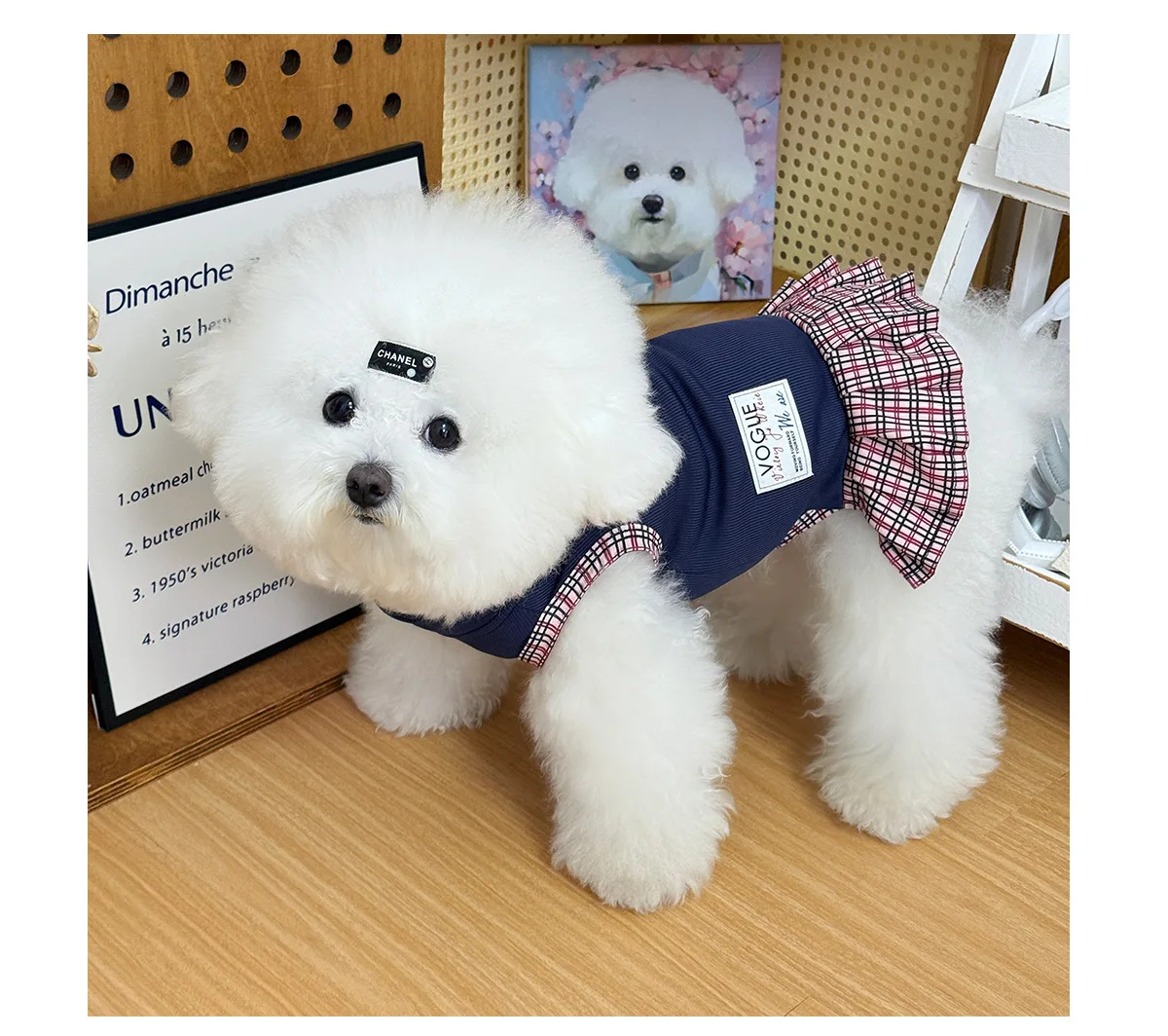 Conjunto primaveral para perros pequeños – Camisa y falda de cuadros - imagen 4