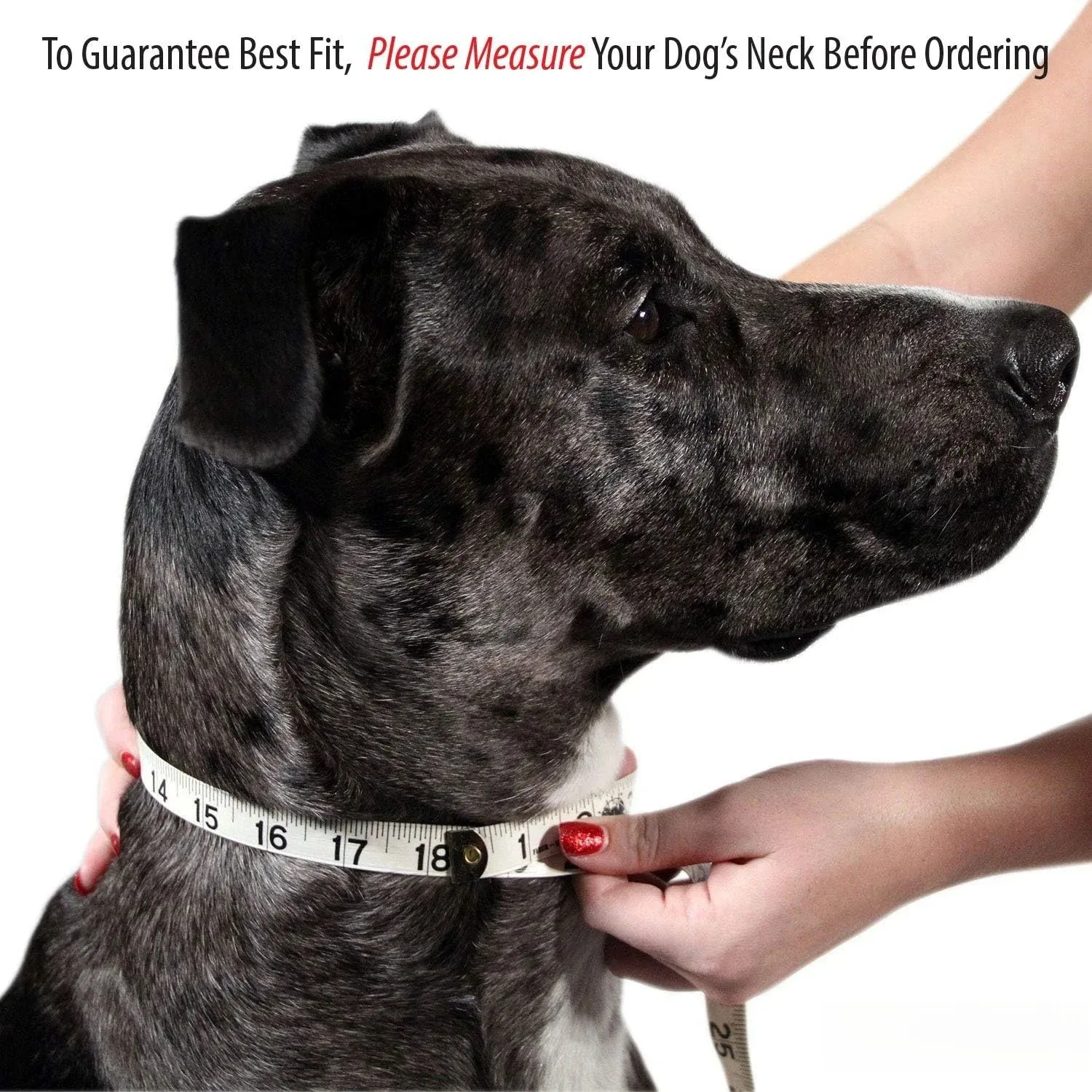 Personalisiertes, individuelles Hundehalsband mit geschnitztem ID-Tag, Anti-Verlust-Design aus massivem PU-Leder für kleine, mittelgroße und große Hunde, Heimtierbedarf – Detail 7