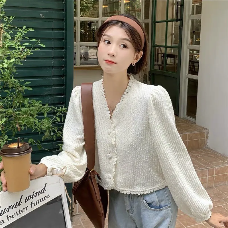

Long Sleeve Shirts Womens Satin Oversized Buttoned Blouses Pleated Hem Lantern Sleeves Feminine French Style Spring Clothing