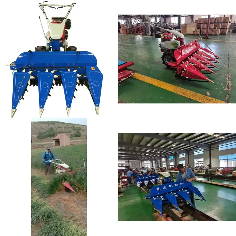 SFW Certificate Common High-speed Grain Harvesters for Raspberry Harvesting