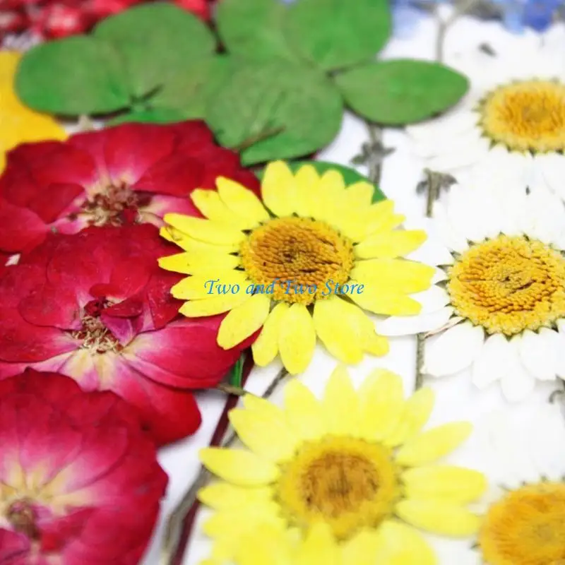 HX6F Crystal Epoxy Filler Dry Flower Resin Beauty Art Decals Epoxy Mold Fillings