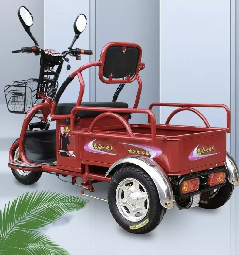 Stable Driving 48V 20A Lead-acid Battery Dual Drive Electric Load Tricycle Removable Battery Steel/Plastic for Elderly Mobility