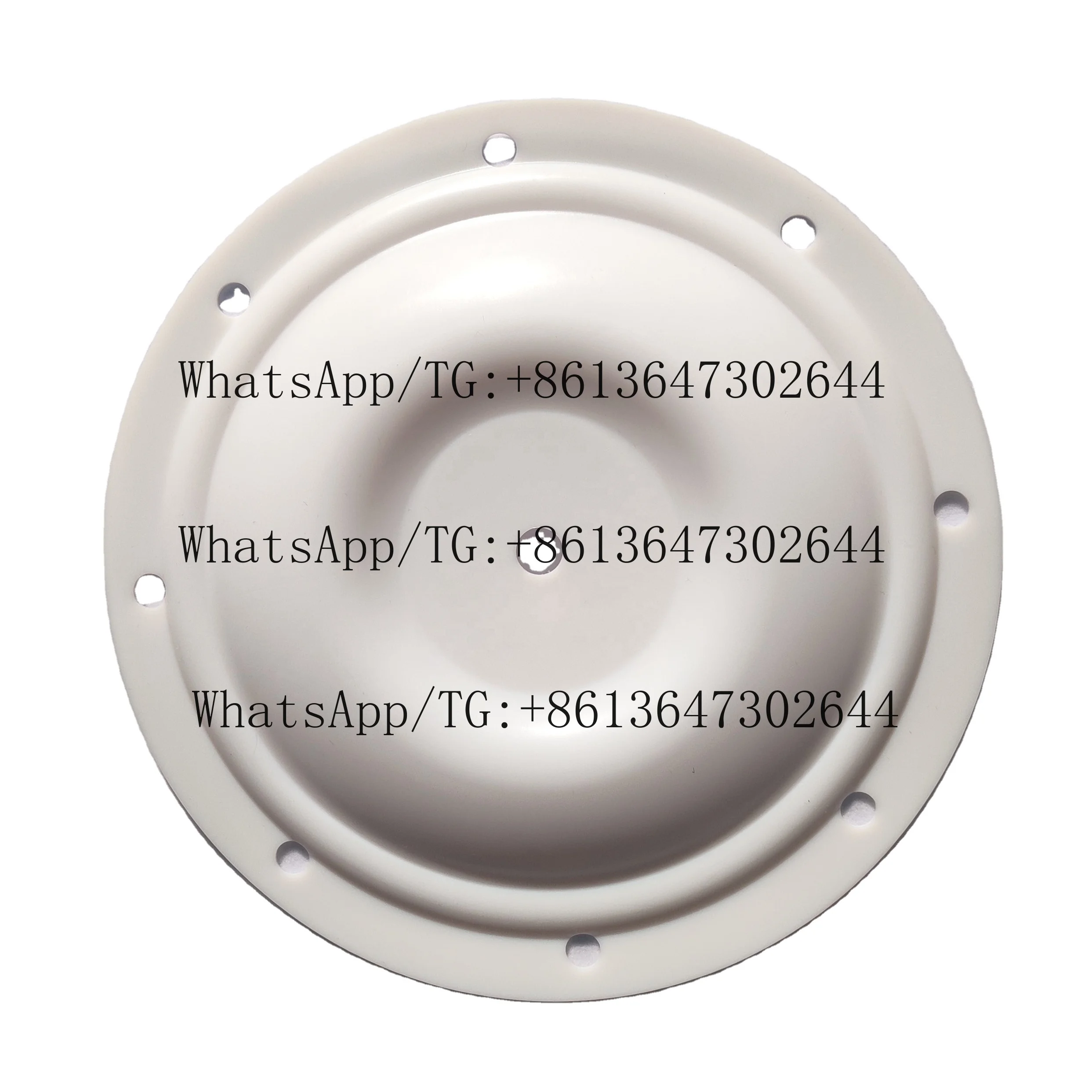 

Мембрана BLAGDON PTFE 25-016 для промышленных поставщиков, индивидуальная настройка