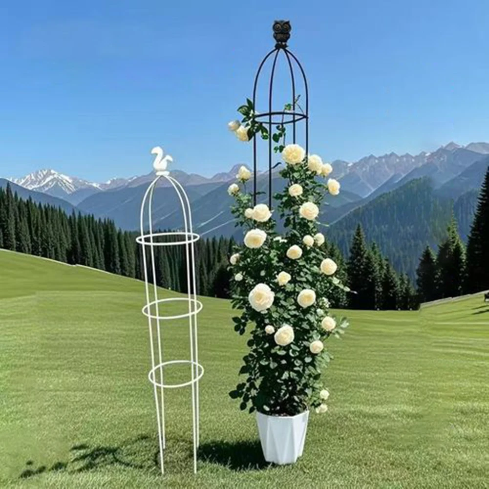 دعامة نباتات متسلقة بلاستيكية - مراجعة Vine Climbing Plastic وسعره