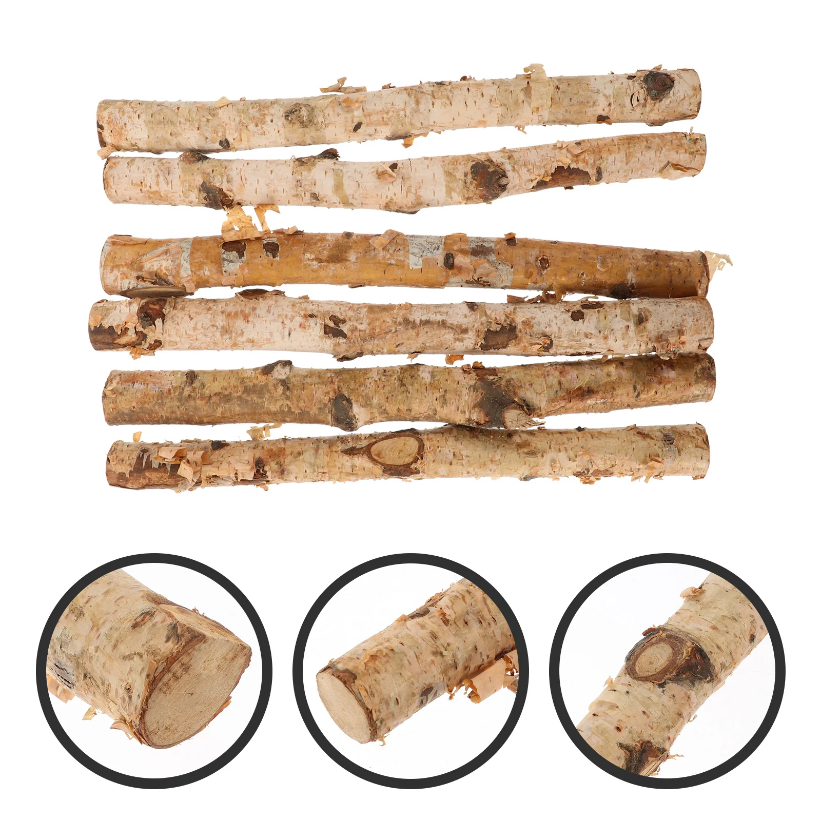 

6 Pcs Projects Crafting Filler Log Birch Sticks DIY Crafts Material for Natural Twigs