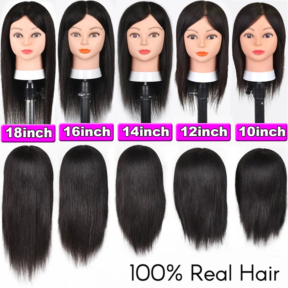 

Real Hair Mannequin Head with 100% Human Hair Cosmetology Training Head With Stand for Hairdresser Dyeing Curling Straightening