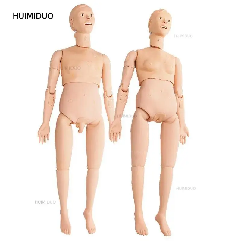Nursing Model Multifunctional Simulation Catheterization Injection Injection Infusion Cardiac Resuscitation Medical Training Hum