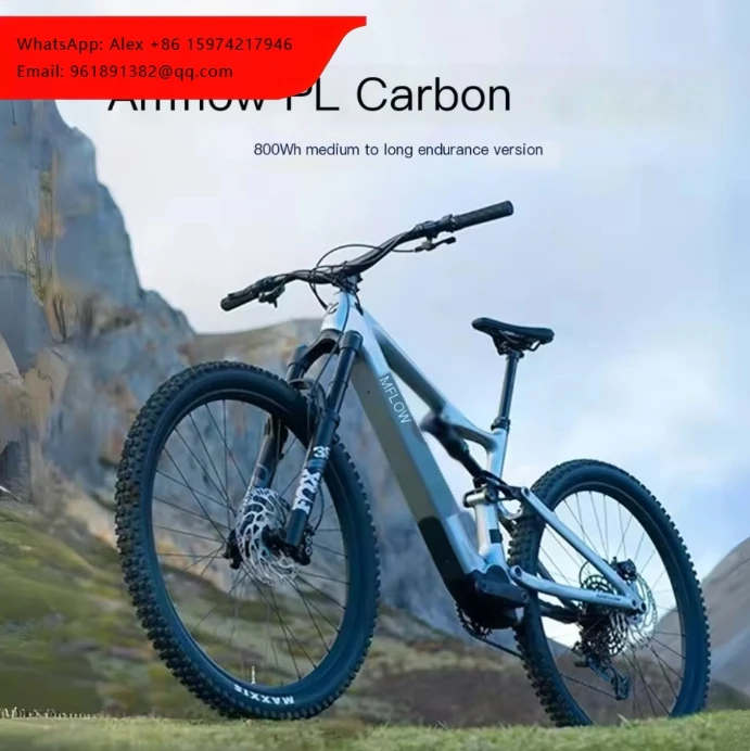 

Amflow PL Carbon 800Wh Carbon Fiber Electric Mountain Bike For Outdoor Riding