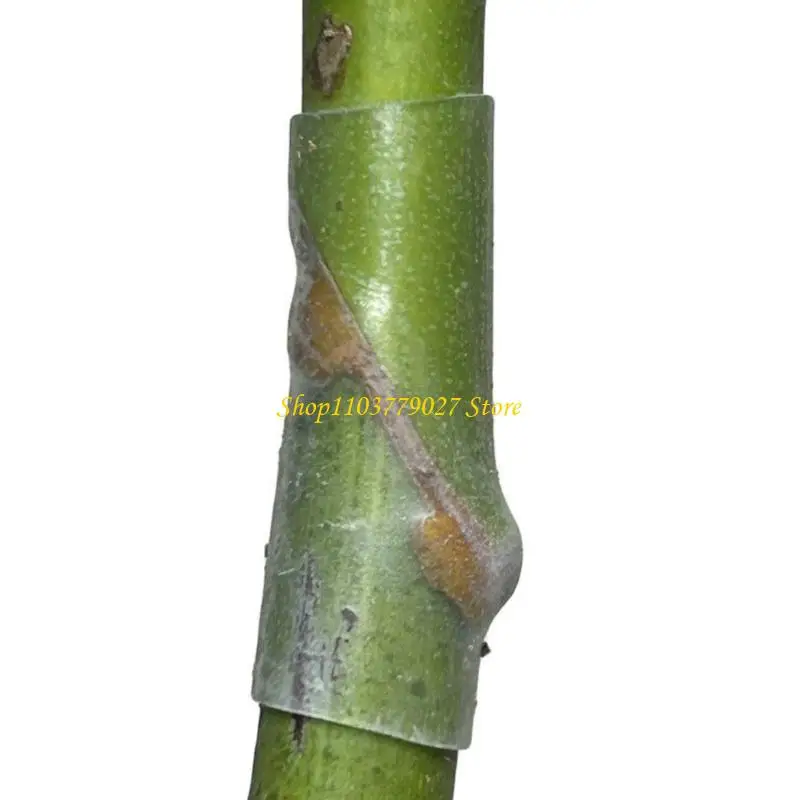 

C4DF 50 шт. прозрачные рукава для прививки дышащие водонепроницаемые трубки для прививки деревьев для яблок, груш, цитрусовых