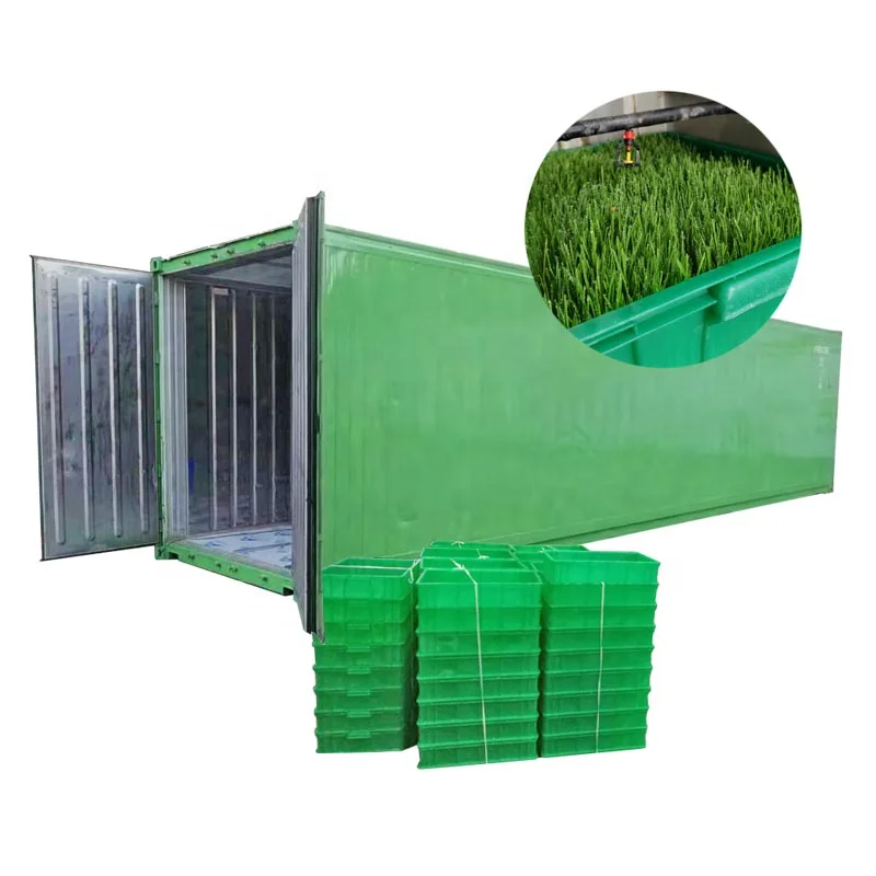 Plant Seedling Equipment Fodder Growing System Hydroponic Farm Container for Forage Grass
