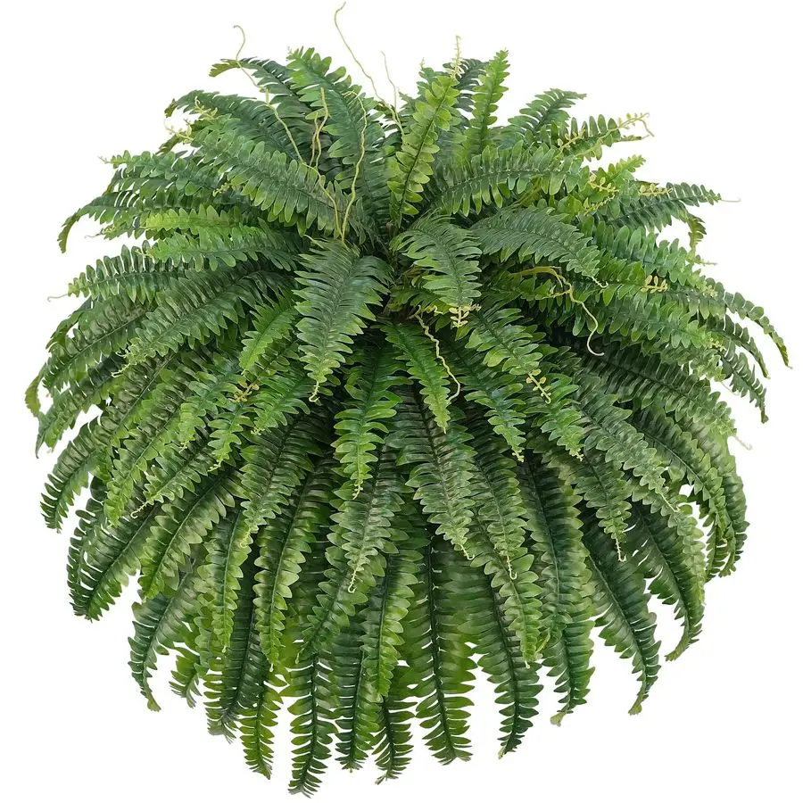

Artificial Boston Ferns, Fake Bush Plants, Large Faux Ferns with 96 Fronds for Outdoors Home Decor