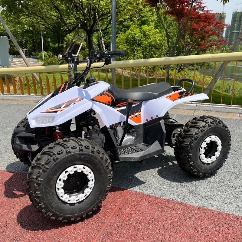 Cheap Chinese ATV Quad Bike 125cc 4-Stroke Chain Drive Automatic Transmission Mini Moto
