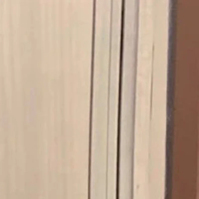 

Sexy Bow-tie Backless Deep V-neck Bodysuit With Halter Neck And Sheer Lace Trim Suitable For Women