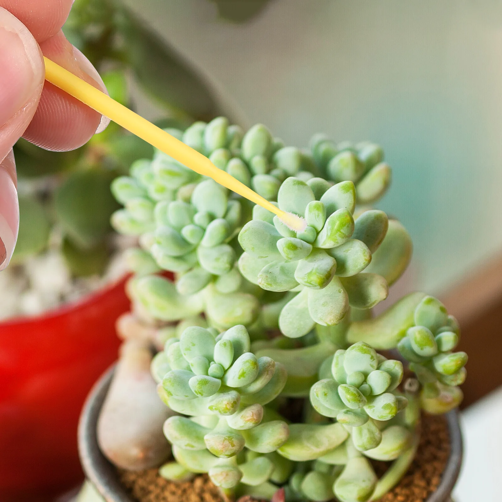 

100Pcs Pollinator Pen Vegetable Fruit Pollinator Tool Efficient Garden Pollinating Accessory for Flower Tree Crops