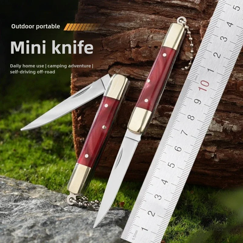 Mini Folding Knife Outdoor Exquisite Folding Knife Stainless Steel Household Fruit Knife Keychain Portable Camping Knife