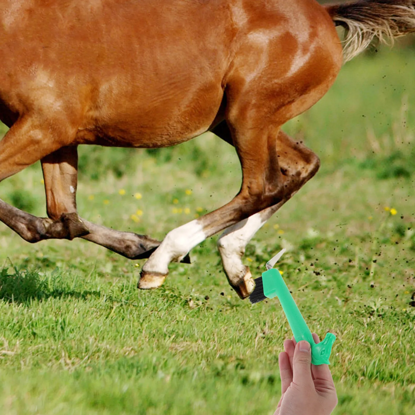 escova-para-cascos-de-cavalo-com-cabo-de-73-polegadas-cerdas-densas-ferramenta-robusta-para-higiene-e-cuidado-de-cascos-de-cavalos-em-estabulo-e-pecuaria