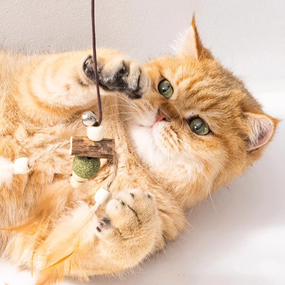 Feder Spielzeug Kätzchen Lustige Bunte Stange Katze Zauberstab Spielzeug Holz Haustier Katze Spielzeug Interaktive Stick Haustier Katze Liefert Necken Katze Stick neue