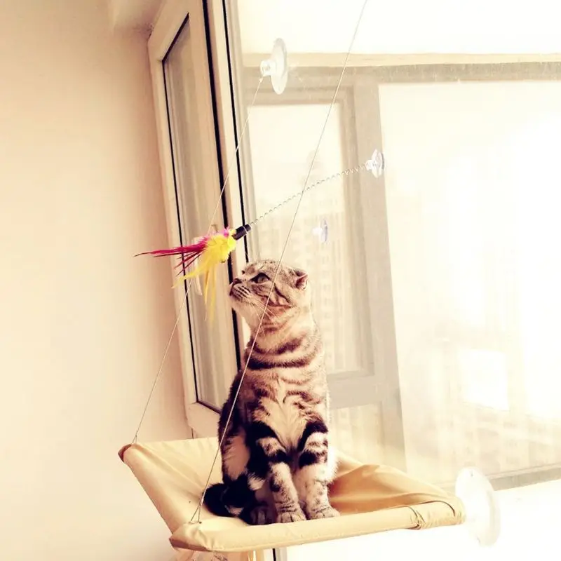 for Cat with Suction Cup Kitten Teaser Fun Interactive