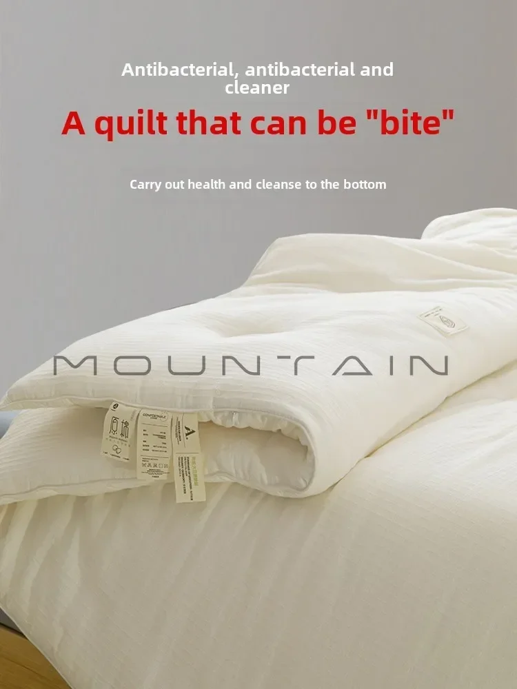 Class A maternal and infant cotton soybean fiber winter quilt spring and autumn quilt thickened warm silk cotton quilt
