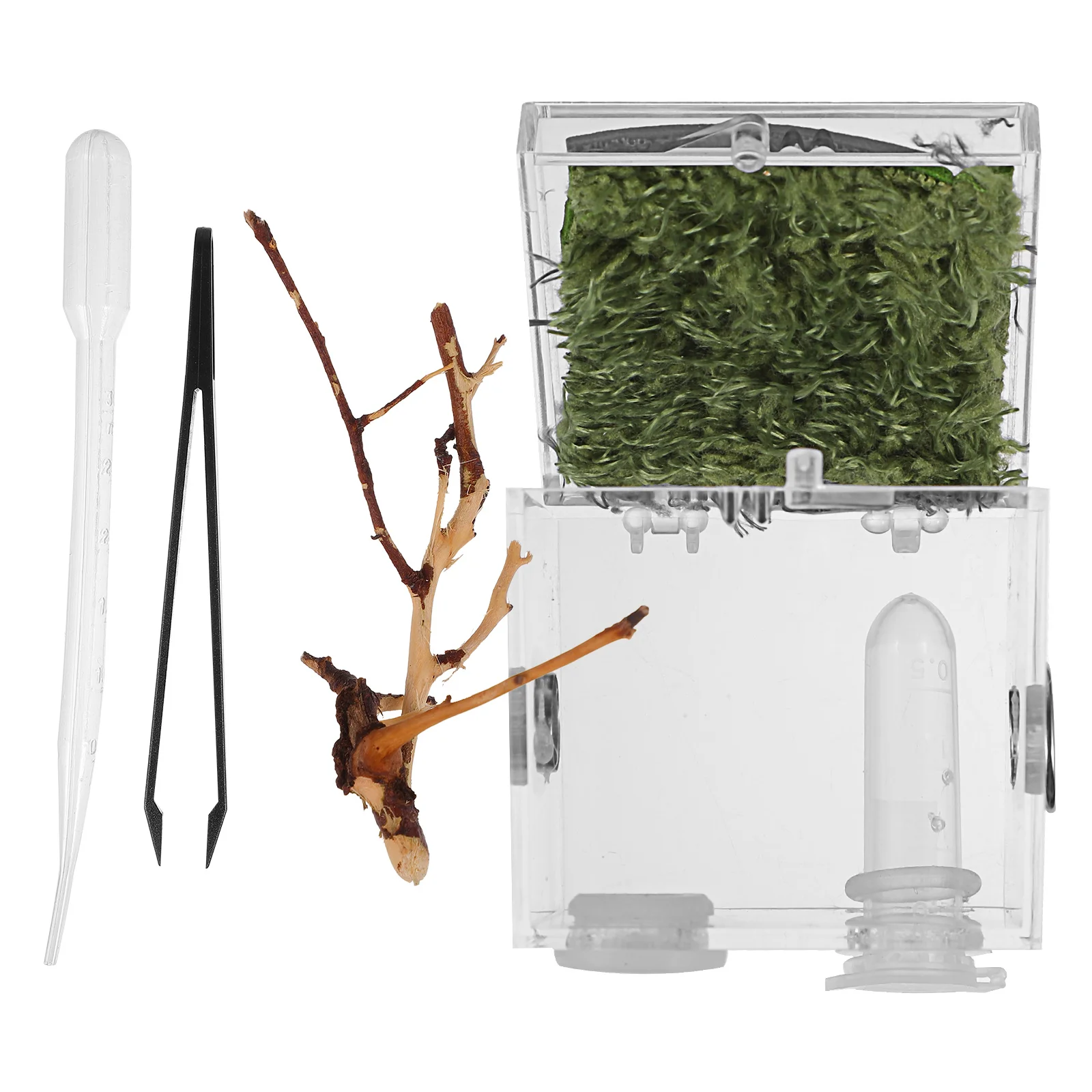 

Reptile Supply Transparent Breeding Box for Spiders Insects Small Pet Terrarium with Dropper Forceps Acrylic Feeding Case