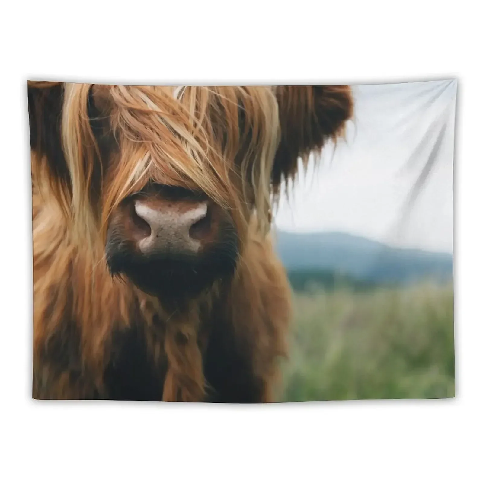 Scottish Highland Cow in Scotland Tapestry Art Mural Bedrooms Decorations Tapestry