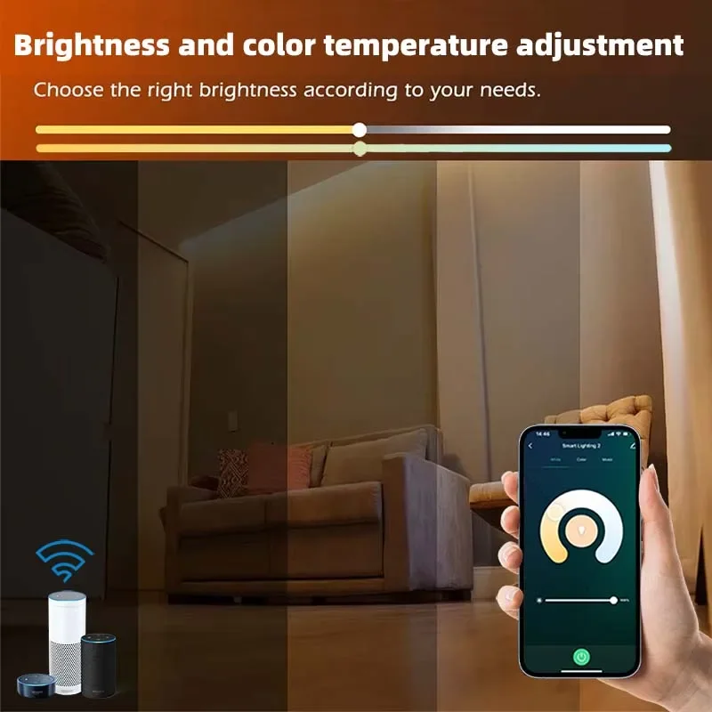 220V Tuya WiFi 1-15m RGB/CCT Double White LED 5050SMD LED Strip Adust Color Dimmer Voice Control for Smart Life Alexa Outdoor