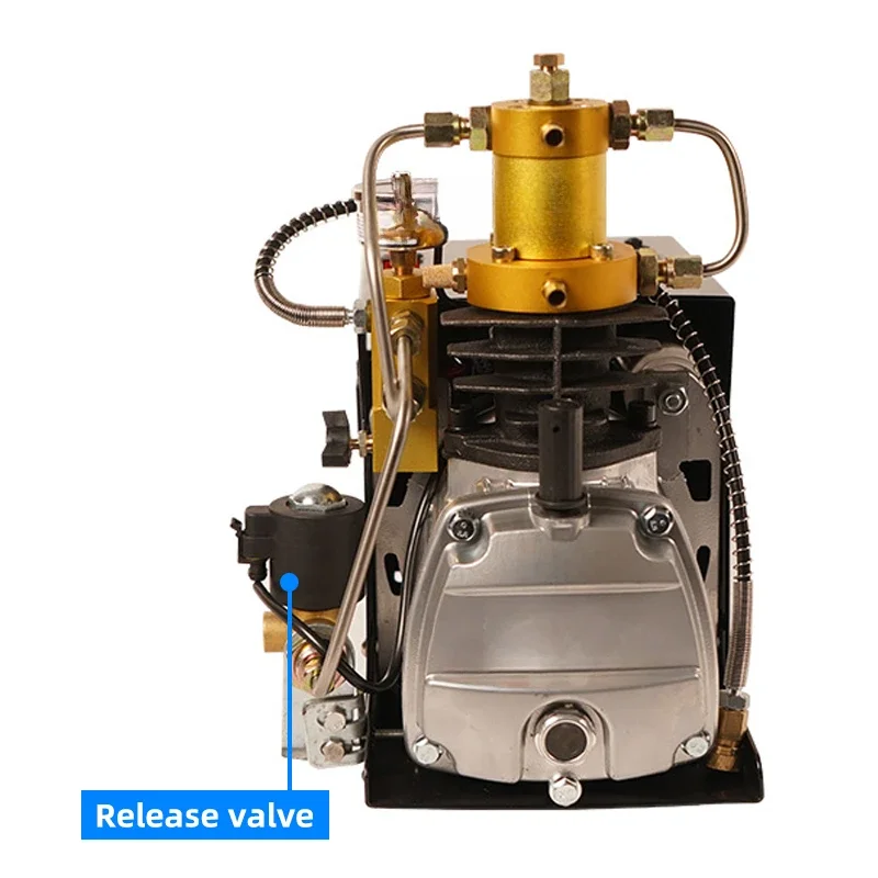 Factory Auto Purge Valve Electric Portable 110V 220V 4500psi 30mpa 300bar Hunting Snorkeling Paintball Air Compressor