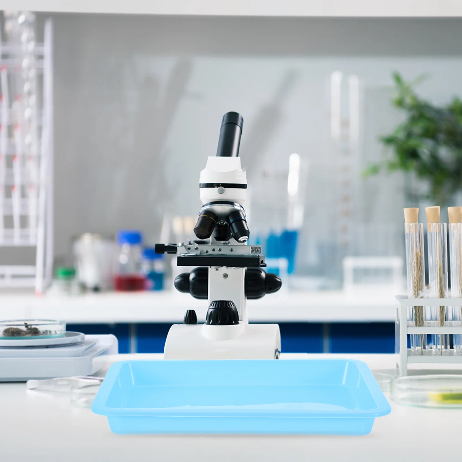 6Pcs Laboratory Trays Leakproof Plastic Containment Trays for Chemical Experiments Classroom Teaching Scientific Experiment