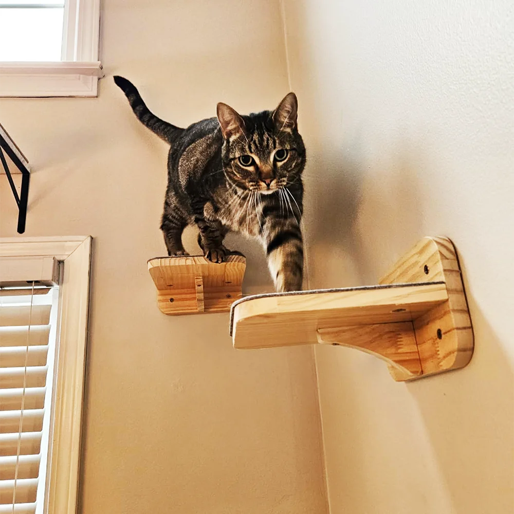 Katzen-Wandtreppe Zweiteiliges Set Robuste Katzenmöbel mit Filz Katzentreppe Geeignet für Katzen zum Spielen und Klettern